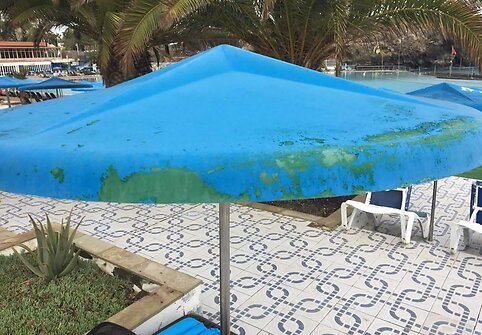 Klaikus vie&scaron;butis Tenerifėje