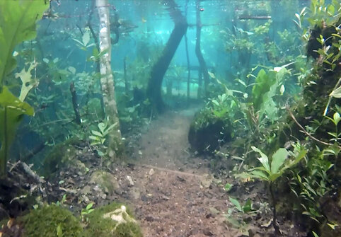 Lietus panardino parką Brazilijoje