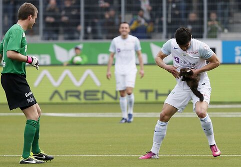 Kiaunė futbolo stadione Šveicarijoje.