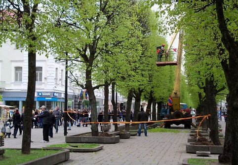 Įkrauk.lt nuotrauka