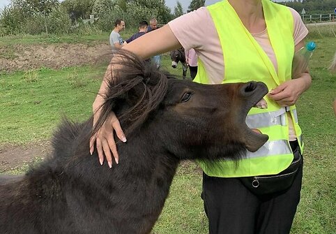 Lietuvių kalbos mokytoja Milda Ratomskienė