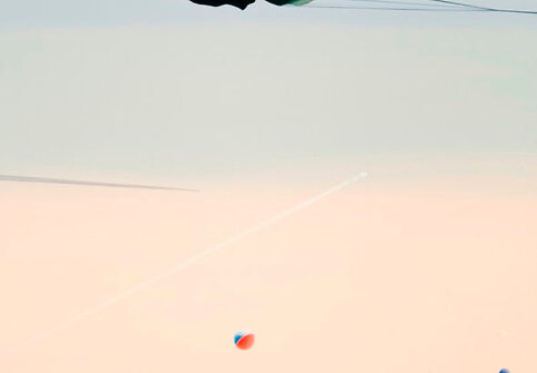 Linas Jusionis / &bdquo;Apsikeitimas&ldquo; / 2012
