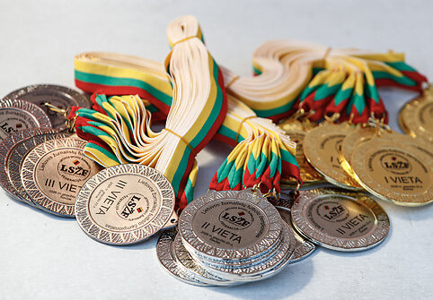 Lietuvos žurnalistų futbolo čempionatas
