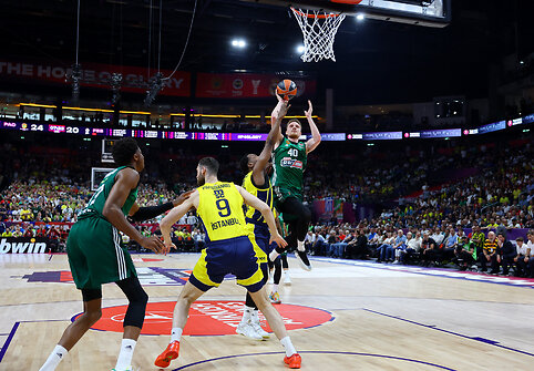 Marius Grigonis