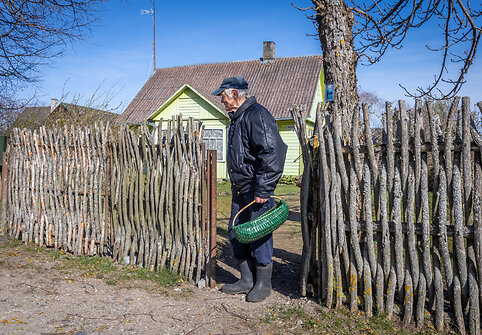 Juozas Klimavičius eina rinkti bobausių