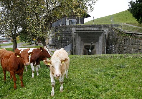 Nebenaudojami Šveicarijos bunkeriai paversti muziejais, restoranais ir sandėliais