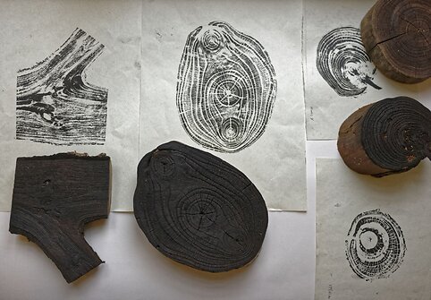 Knygų &scaron;alies kūrybinė studija &bdquo;Tu gali sukurti knygą&ldquo;