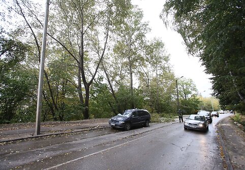 Kaune ant pravažiuojančios ma&scaron;inos užgriuvęs medis sužalojo vairuotoją