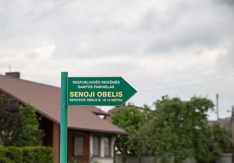 Seniausia obelis Lietuvoje