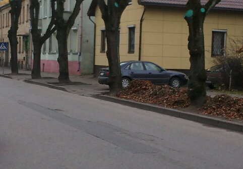 Nuotraukos pavadinimas