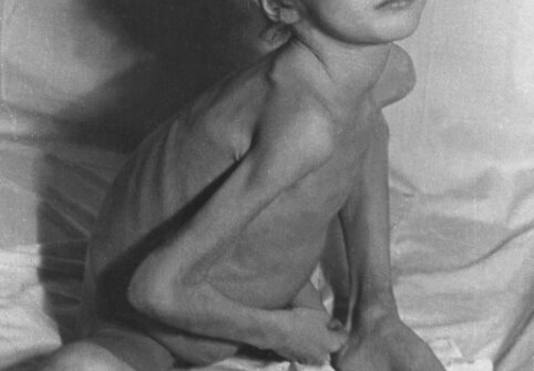  2 pav. 