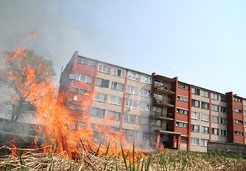 Dega žolė
