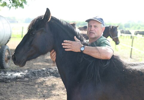 Žirgininkas Vidmantas Sta&scaron;kevičius