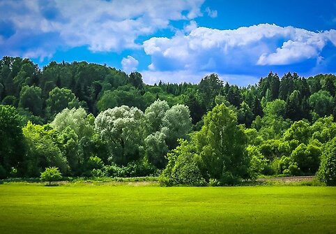 Pareigūno M.Jackevičiaus fotografija