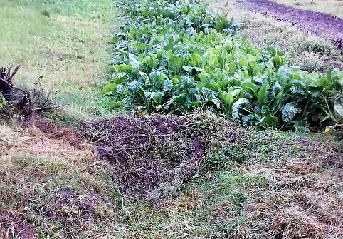 Niekieno sklypas užtvindė kaimą ir demaskavo biurokratų bejėgystę