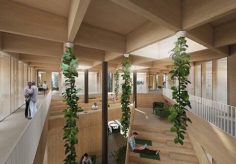 Čekijos miškų komisijos administracinio pastato projektas