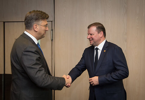 Andrejus Plenkovičius, Saulius Skvernelis