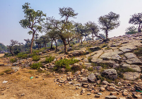 Govardhanas, Indija