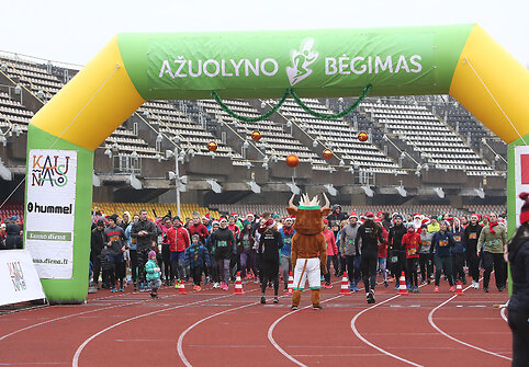 Naujametinis Ąžuolyno bėgimas 2017
