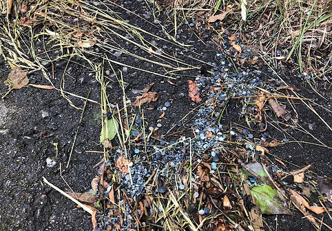Plastiku užterštas vanduo ir jo sąnašos iš AB „Plasta“ teritorijos