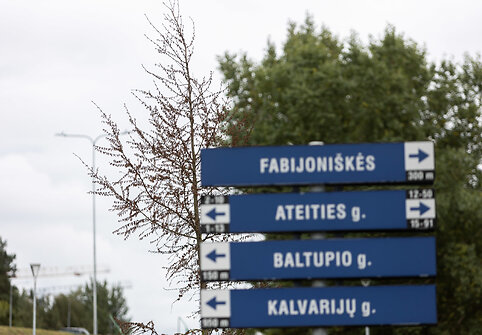 &Scaron;iemet pasodinti medžiai Ateities gatvėje ties Geležinio Vilko gatvės viaduku
