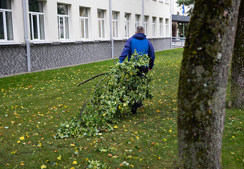 Audros padariniai Palangoje