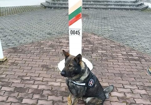 Keturkojis pareigūnas Gėris