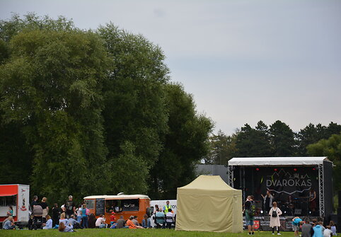 Roko festivalio &bdquo;Dvarokas&ldquo; akimirka