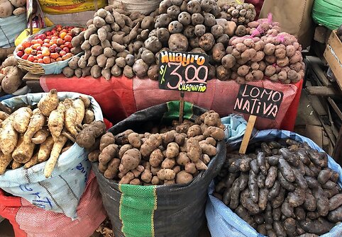 Maistas Peru