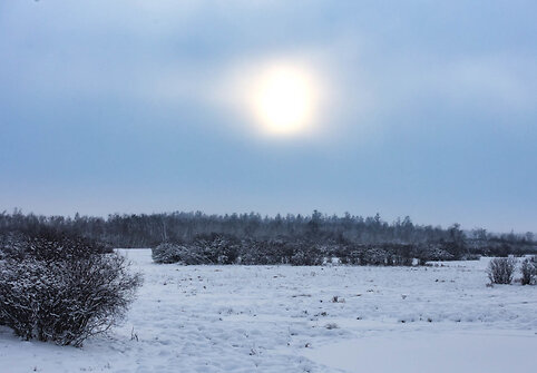 Kaulų kelias
