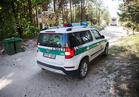 &Scaron;ventojoje parplūkdytas skenduolio kūnas