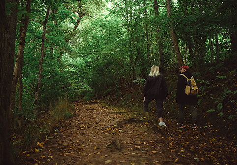 Sumu&scaron;k savo žingsnių rekordus Mi&scaron;ko take