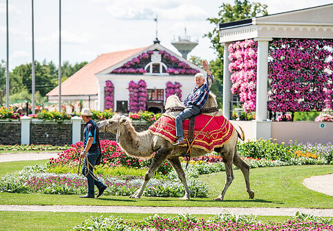 Nežemi&scaron;ko grožio vaizdai i&scaron; Pakruojo dvaro gėlių festivalio
