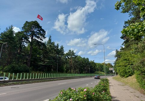 Vytis Geležinio vilko gatvėje