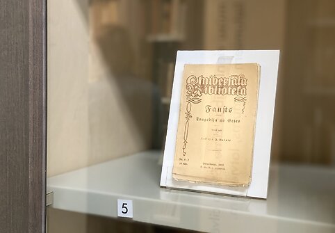 Ekskursija Rainio ir Aspazijos memorialiniame muziejuje