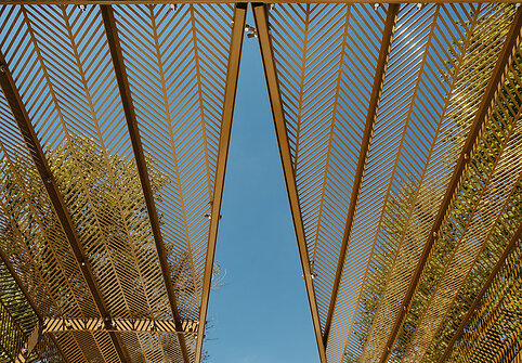  &bdquo;Žalčio namas&ldquo;