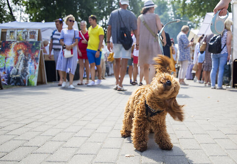 Jūros &scaron;ventė Klaipėdos mieste