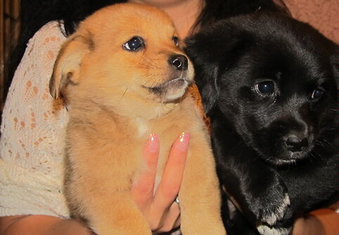 Nuotraukos pavadinimas