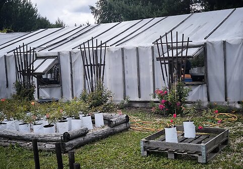 IMG_20240614_134702