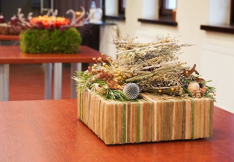 VU Botanikos sode jaunųjų floristų paroda