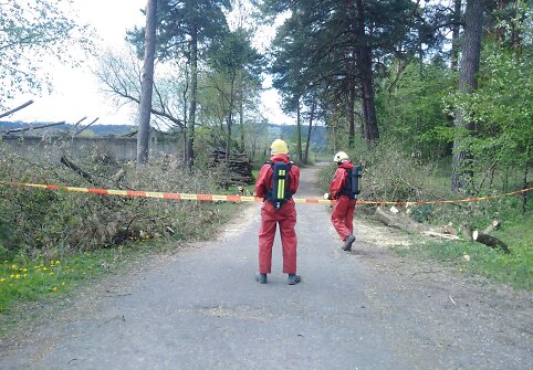 Rastas i&scaron;piltas gyvsidabris