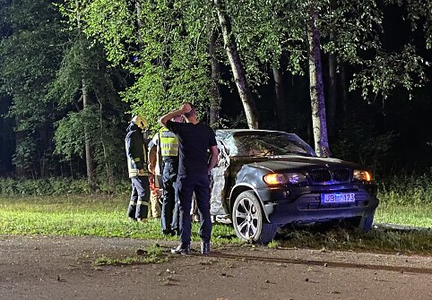 Vilniuje prie Vingio parko BMW atsitrenkė į medį