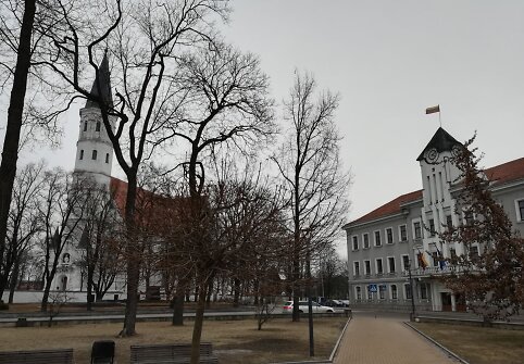Rinkimai &Scaron;iauliuose