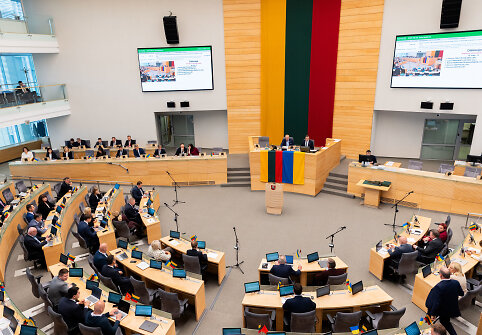 Vyriausybės programos tvirtinimas