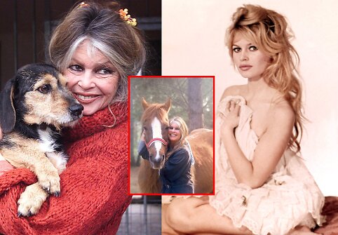 Brigitte Bardot