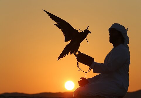 Sakalų augintojas Abu Dabyje