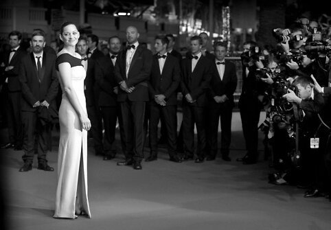 Marion Cotillard