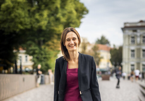 Lietuvos diplomatinių atstovybių, konsulinių įstaigų ir atstovybių prie tarptautinių organizacijų vadovų metinis susitikimas Valdovų rūmuose