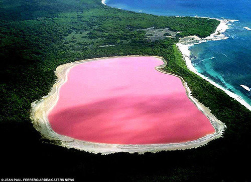 Jean Paul Ferrero/Ardea/Caters News /Gamtos išdaigos – rožiniai pasaulio ežerai