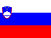 Flag_of_Slovenia.svg